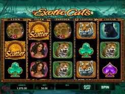 Exotic Cats Slots